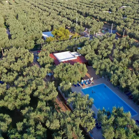 Melograno With Swimming Pool And Private Mattinata
