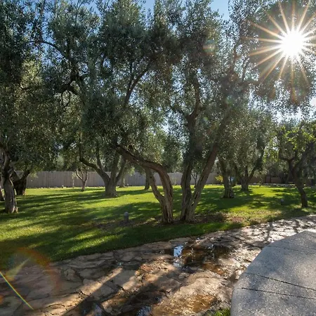Holiday home Melograno With Swimming Pool And Private Mattinata