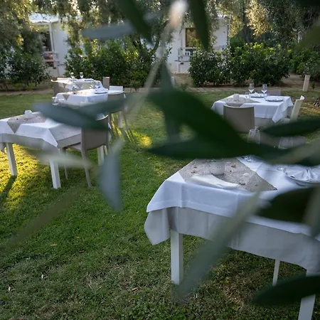 Melograno With Swimming Pool And Private Holiday home Mattinata